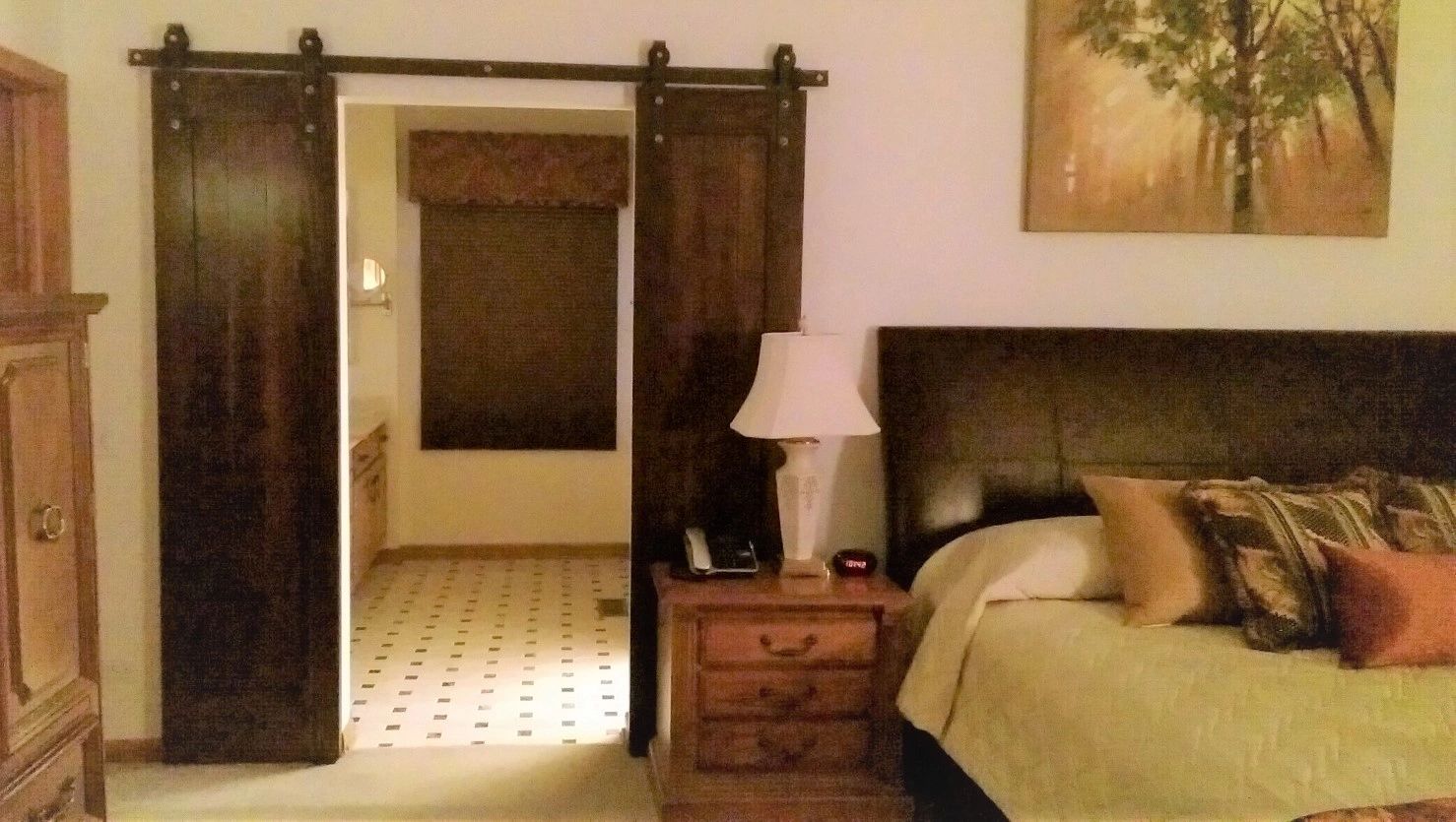 Nelson barn door full view